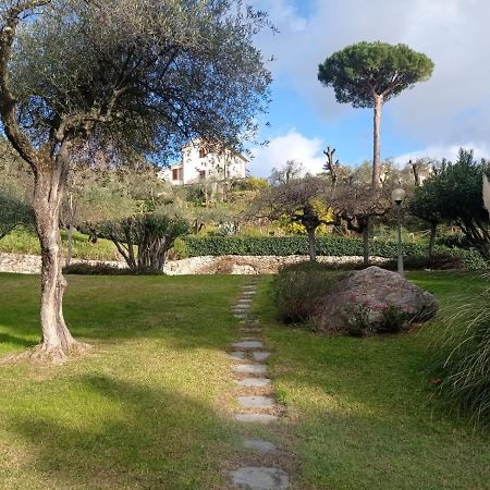 شقة Casa Degli Ulivi ليريسي المظهر الخارجي الصورة